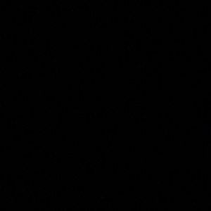 Meet your Posher, Jackson